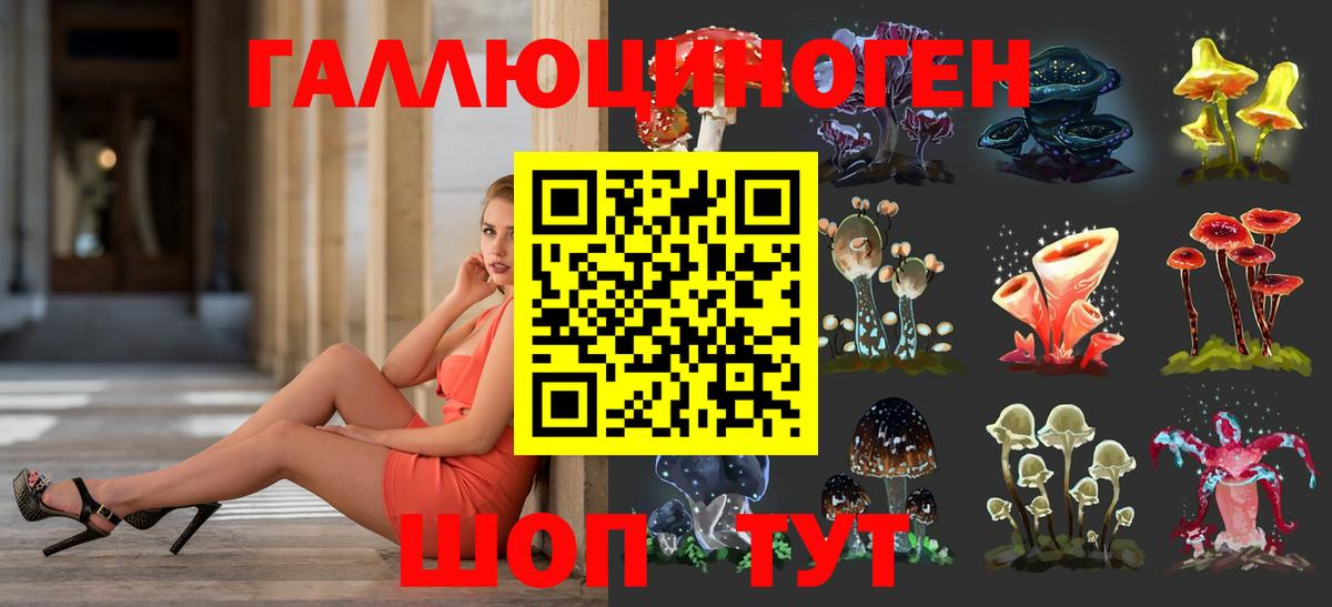 Галлюциногенные грибы GOLDEN TEACHER Хабаровск