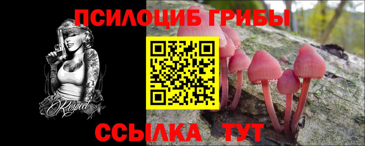 закладка  Псилоцибиновые грибы прущие грибы  Вход с VPN  Псилоцибиновые грибы Magic Shrooms  Хабаровск 